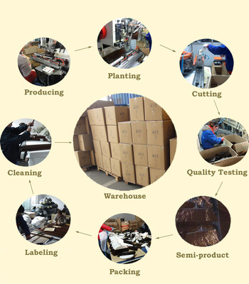 【塑料掃把 供應掃帚頭 廠家直銷 價格優惠 外貿原單】價格,廠家,圖片,掃帚畚箕套裝,張家港英瑞實業-